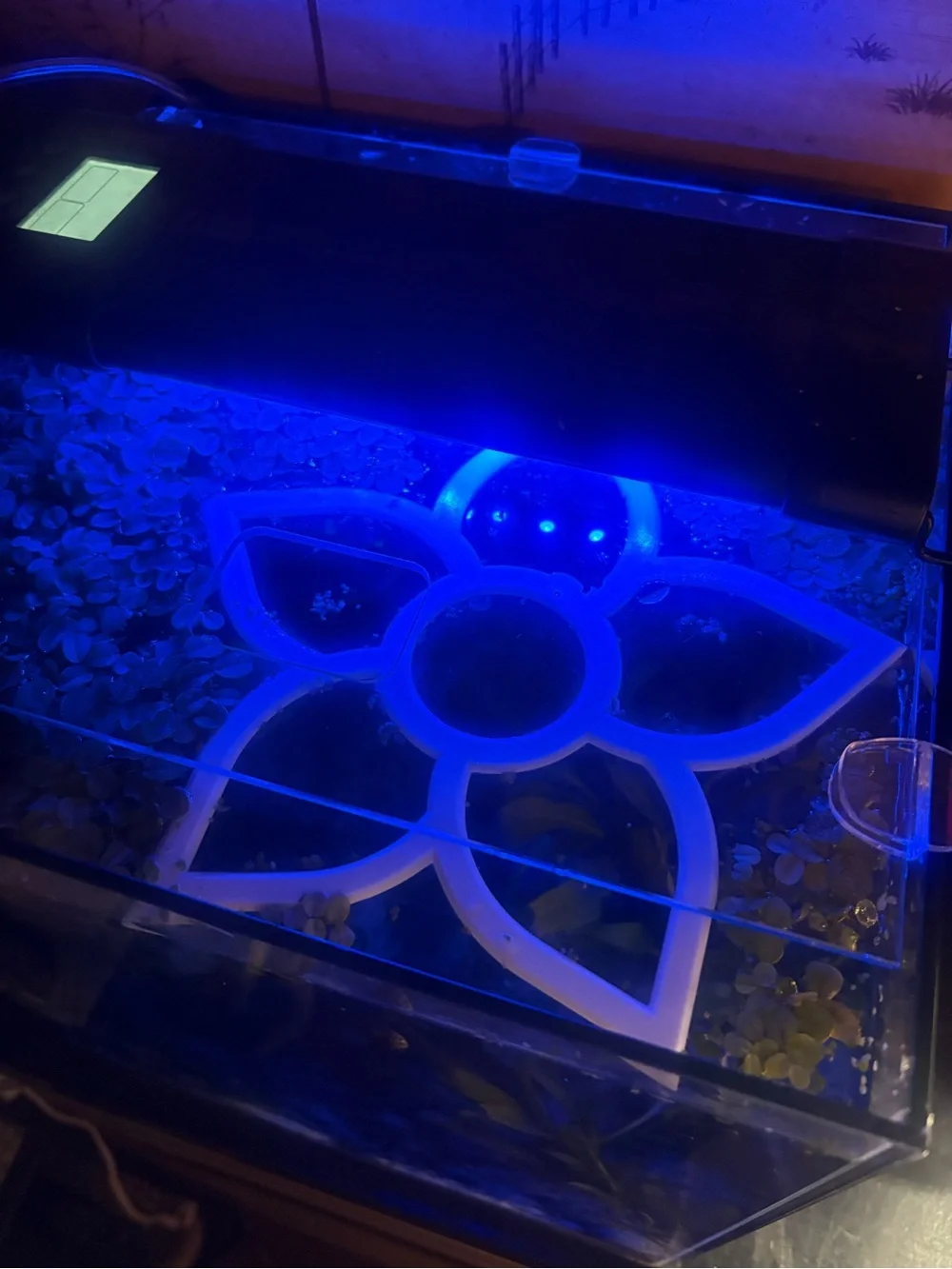 Floating Aquarium Ring - Versatile Fish Tank Decor